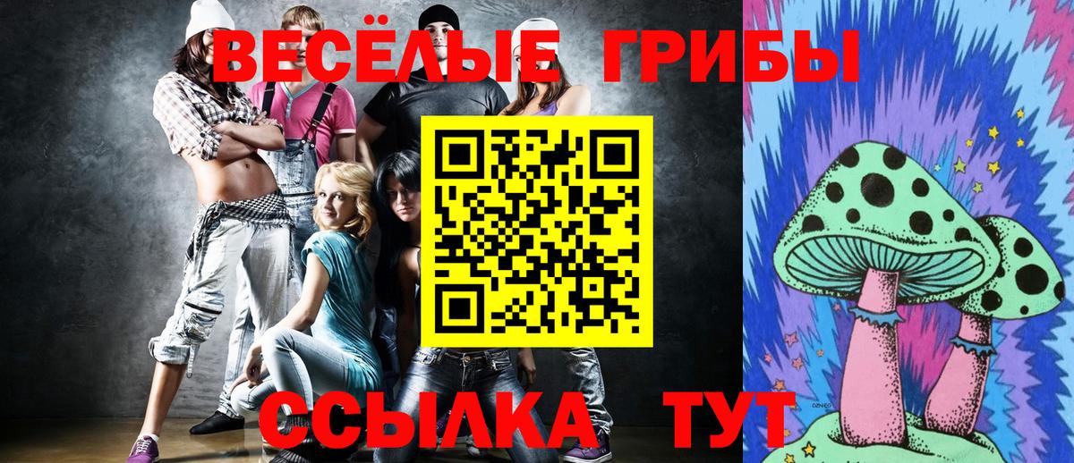 Псилоцибиновые грибы мухоморы  Вход с VPN  Краснознаменск 