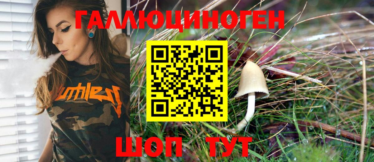 Галлюциногенные грибы Magic Shrooms Краснознаменск